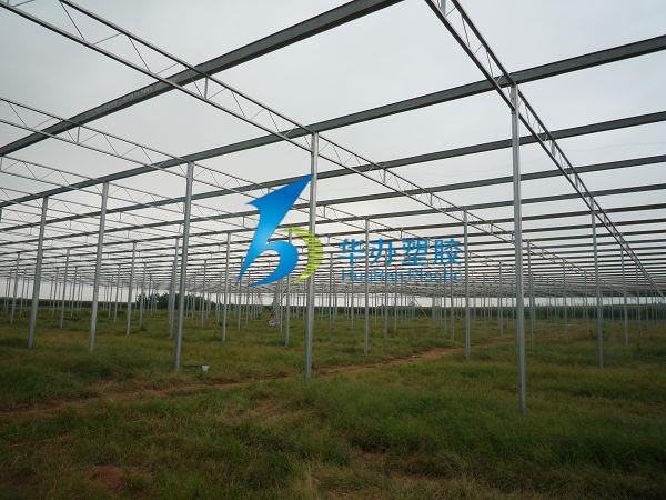 連云港東?？h雙店鎮(zhèn)溫室大棚PC陽光板
