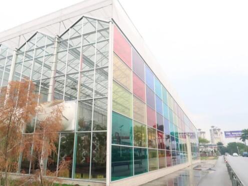 1680749606114966.jpg 36.jpg