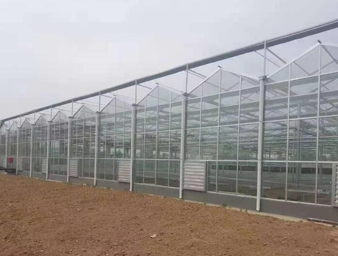 PC薄膜溫室大棚可以防風(fēng)嗎？