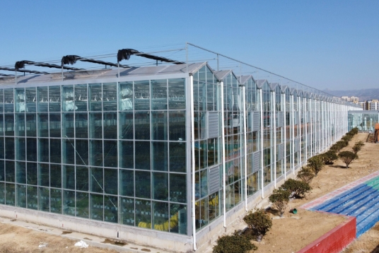 PC板的外墻裝飾能使用多久？